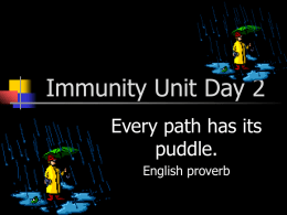 Immunity Unit Day 2