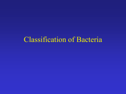 Bacterial Taxonomy