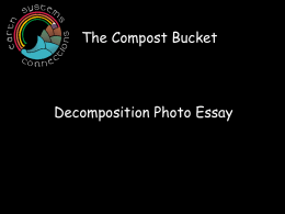 Decomposition Photo Essay - American Geosciences Institute