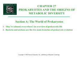 Organismal Biology/27A-WorldOfProkaryotes