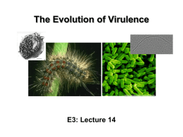 E3_Virulence_2011Part 1 - MicrobialEvolution.org