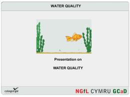 What is water quality?