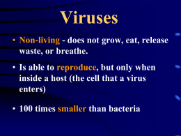 Virus PPT