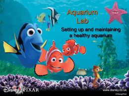 Aquarium Ecosystem Lab