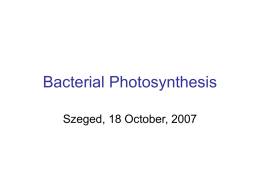 Bacterial Photosynthesis