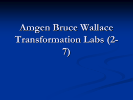 Amgen Bruce Wallace Transformation Labs (2-7)