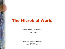 Microbial World "Hand on Session" powerpoint by Timothy Tan