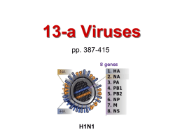 Viruses, Prions - De Anza College