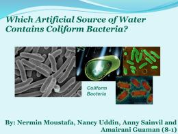 Which Artificial Source of Water Contains Coliform
