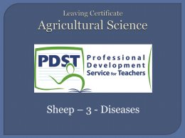 Sheep disease