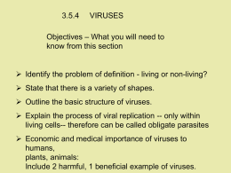3.5.4 Viruses - Spanish Point Biology