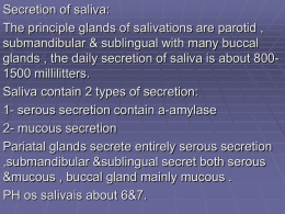 Phases of salivary secretion
