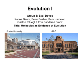 Molecules as Evidence of Evolution (PowerPoint) Madison 2006