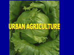 Urban Agriculture 3 ways of composting