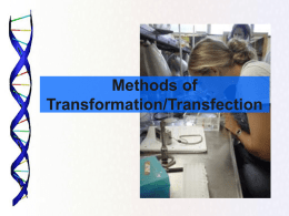 lect 8- Transformation