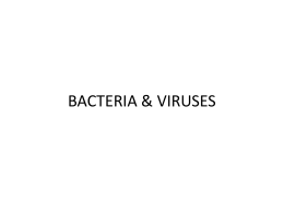Bacteria & viruses