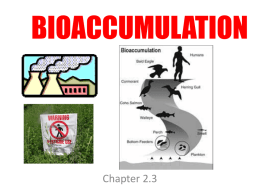 Bioaccumulation