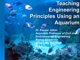 Engineering Aspects of An Aquarium
