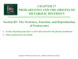 Organismal Biology/27B1-StrctrFnctinReproProka
