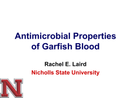 Antimicrobial properties of alligator gar blood