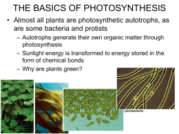 Photosynthesis intro_student
