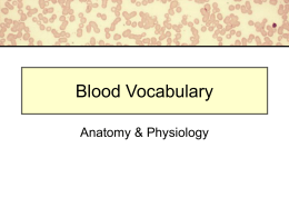 Blood Vocabulary