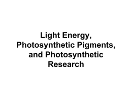 SBI4U1_02_06_Light Energy_Pigments_Research