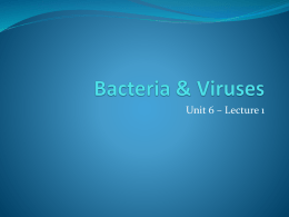 Bacteria & Viruses - Fulton County Schools