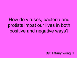 How do viruses, bacteria and protists impat - mcdaid