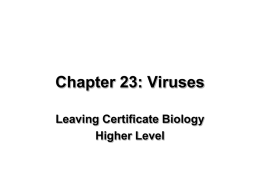 Viruses - leavingcertbiology.net