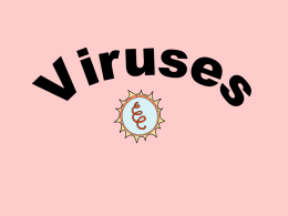Viruses - Dominican