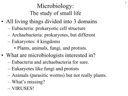Microbiology: The study of small life