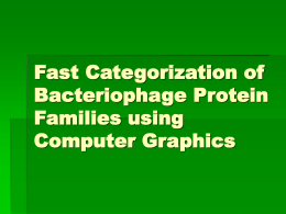 Fast Categorization of Bacteriophage Protein Families using