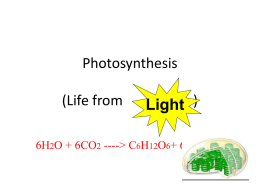 Photosynthesis PP