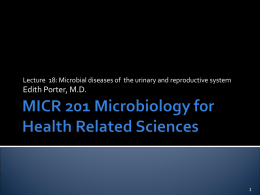 Lec 18 Microbial diseases of the urinary reproductive system