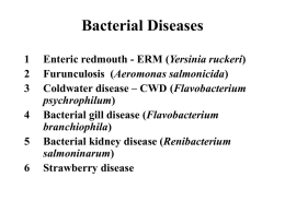 INFECTIOUS COMMON FISH BACTERIAL PATHOGENS