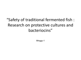Safety of traditional fermented fish : Research