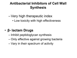 Chapter 20 Antimicrobial Drugs