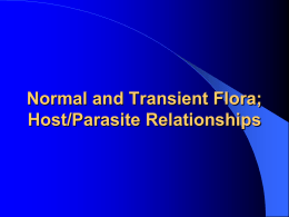 Normal and Transient Flora. Host Parasite