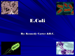 E.Coli - ECGCWednesday