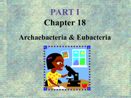 Chapter 18 Archaebacteria and Eubacteria