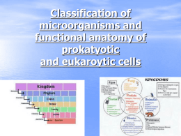 Unit2 classification microorganismsnotes