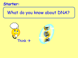 3.1a Mutations