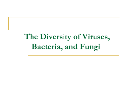 Virus_Bacteria_Fungi - Bio-bull