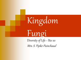 Kingdom Fungi Student Worksheets