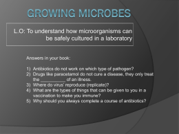 Growing Microbes - Noadswood Science