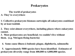 2- prokaryotes