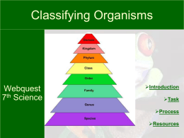 classificationwebquest