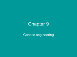Chapter 9 Biotechnology