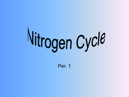 Nitrogen Cycle - West Hawaii DOE District Homepage